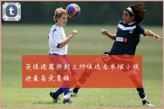 英媒透露热刺主帅候选名单缩小埃迪豪备受青睐