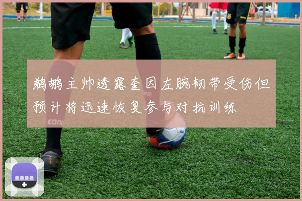 鹈鹕主帅透露奎因左腕韧带受伤但预计将迅速恢复参与对抗训练