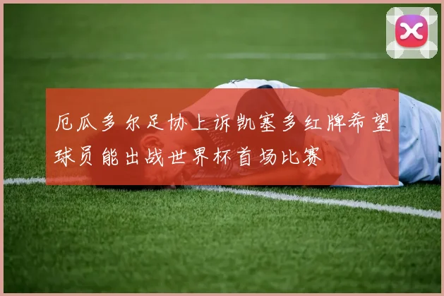 厄瓜多尔足协上诉凯塞多红牌希望球员能出战世界杯首场比赛